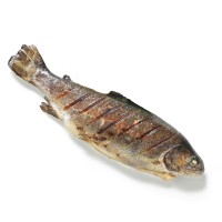 _fish _fish.jpg